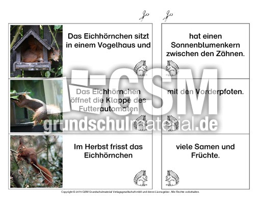 Eichhörnchen-Satzteile-verbinden-einfach 1.pdf